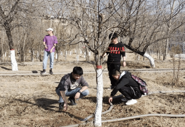 d041f25274594e28aab857a492548eff.png 图片.png